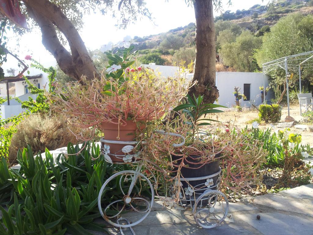 Ostria Studios Platis Gialos  Exterior photo